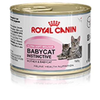 Lata Babycat Instinctive Royal Canin - 195 g 